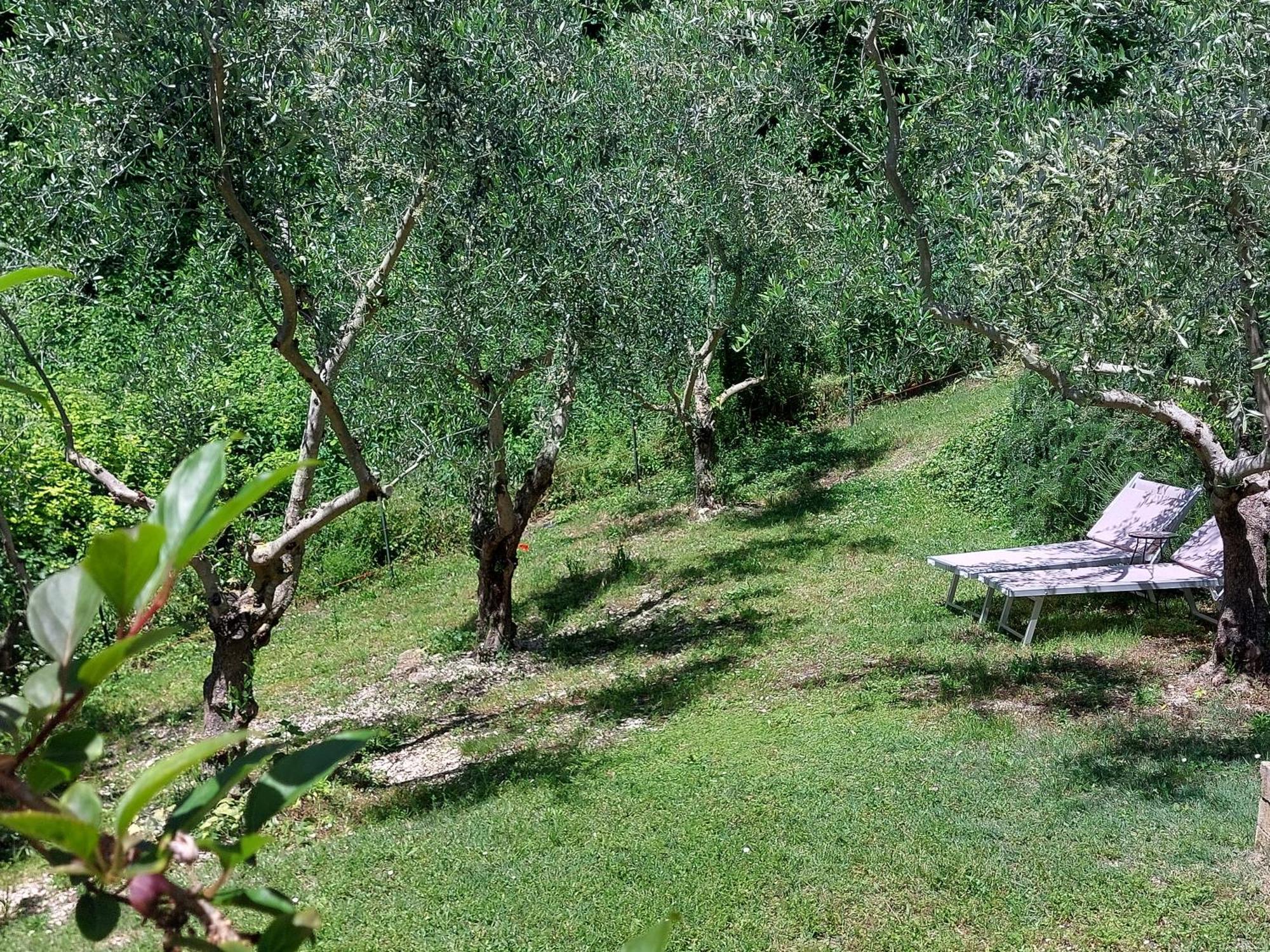B&B Fonte Fresca Fabriano Dış mekan fotoğraf